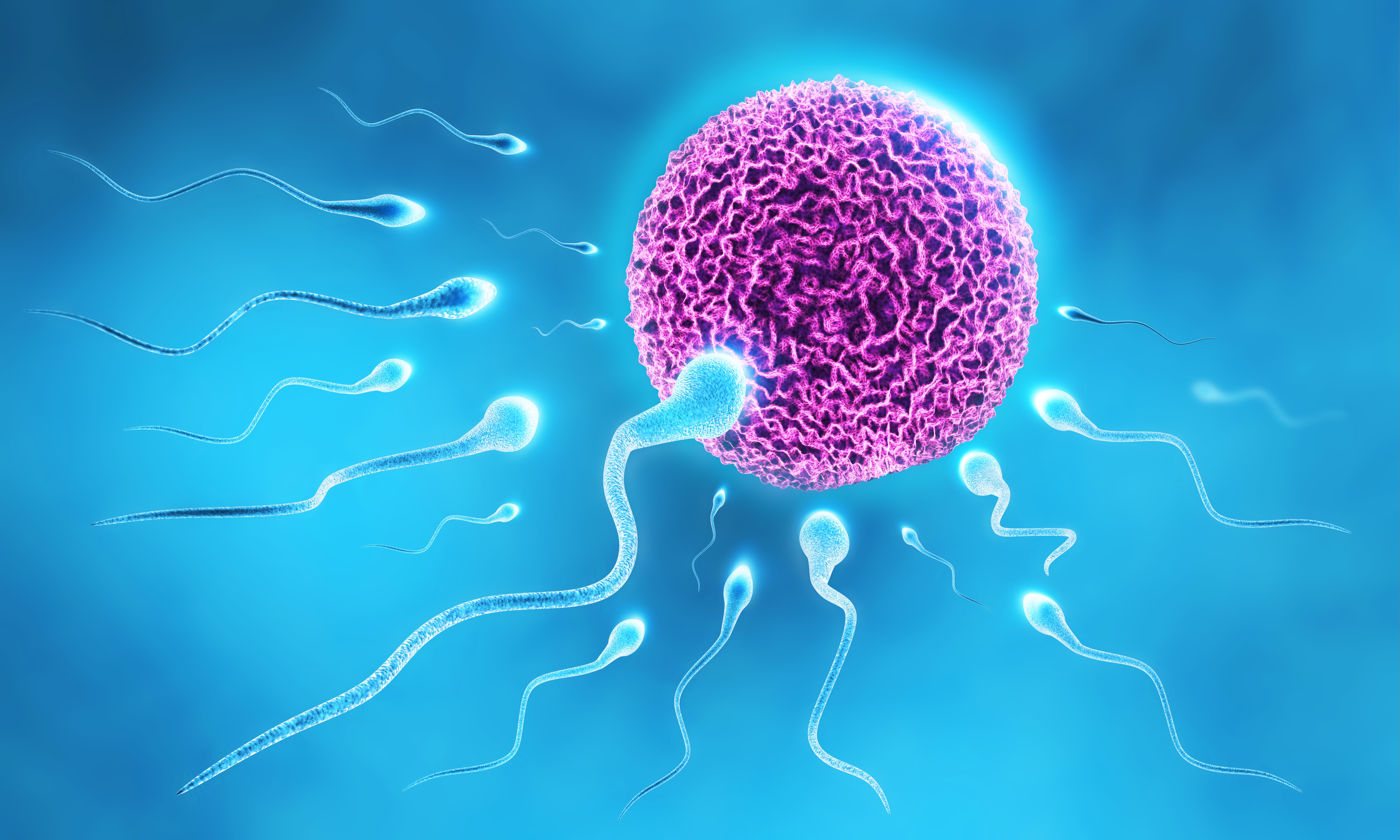 高龄男性备孕如何使精子更加年轻化?