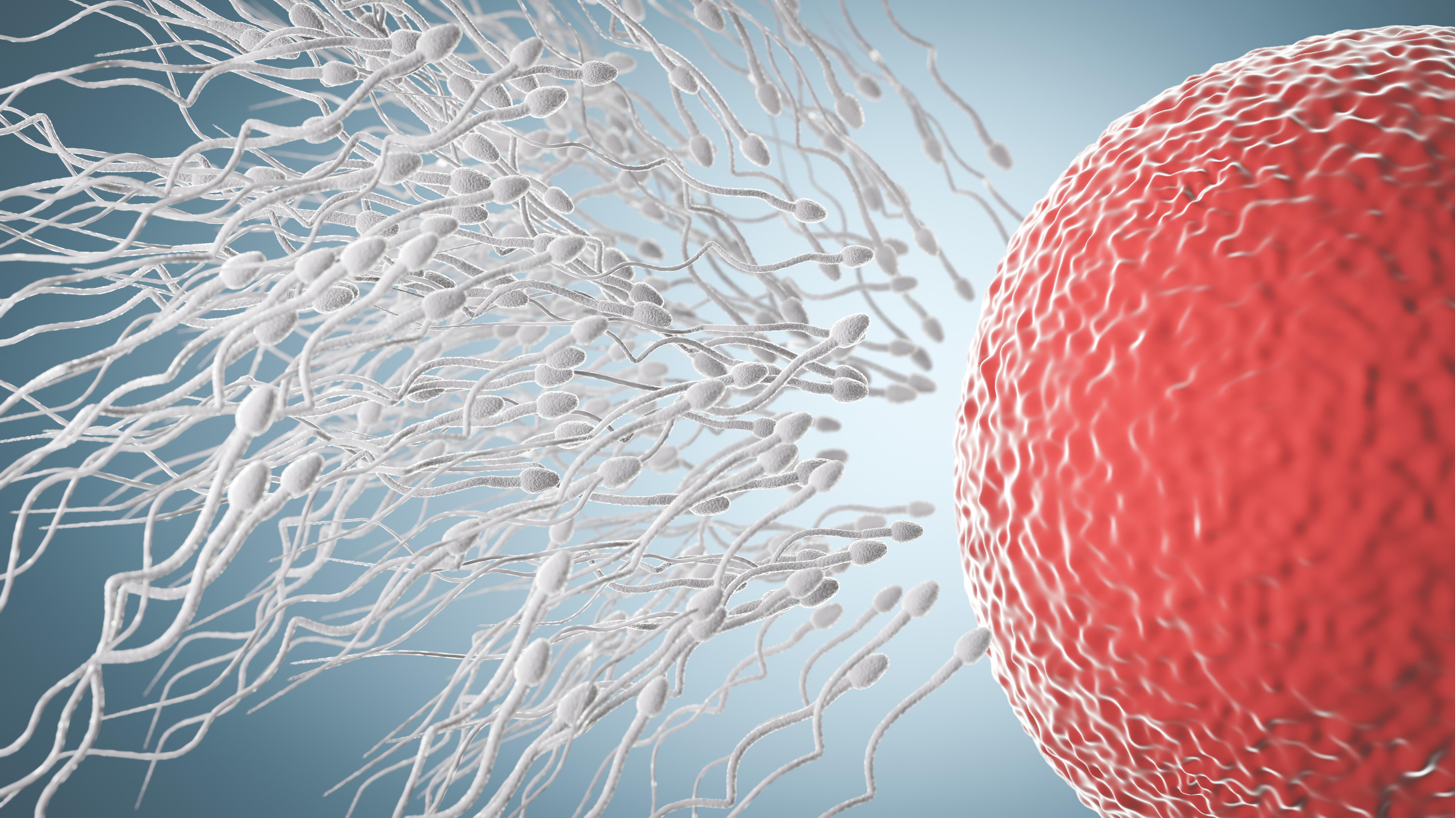 哪些因素会导致卵巢早衰?