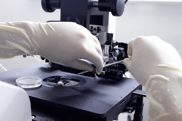 试管婴儿,试管性别,试管可以选性别吗