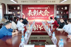 ���۰���������뢻�����δ�� | ������ά����ҽԺ2025��ȱ��ô��Բ������